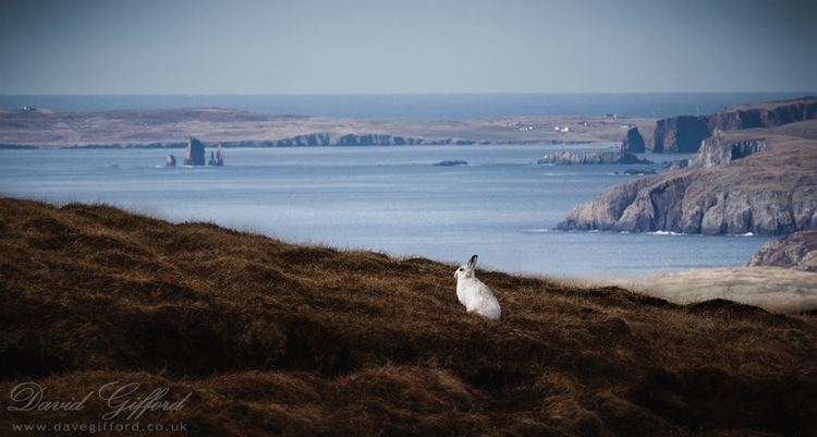 Shetland Beautiful Landscapes of Shetland