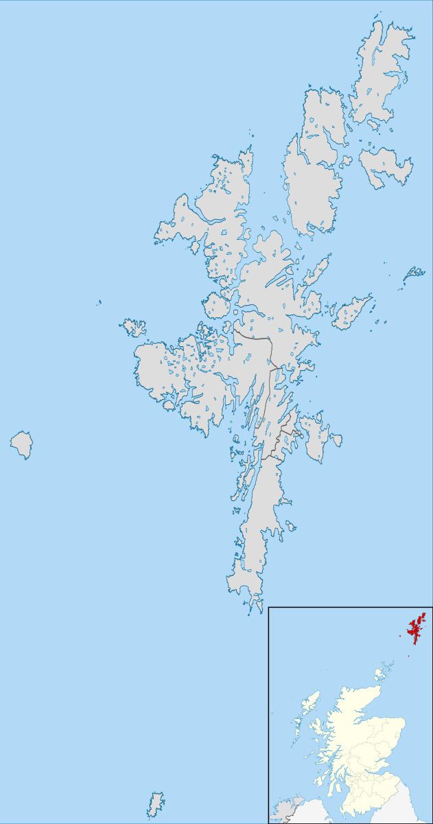Shetland Islands Council election, 2007