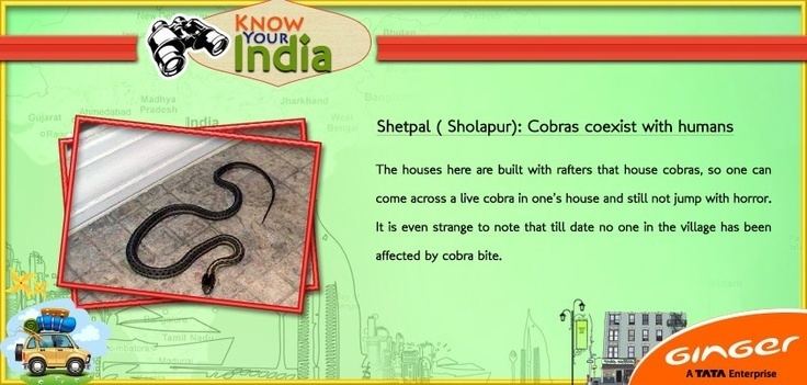 Shetpal Shetpal Cobras coexist with humans Know your India Pinterest
