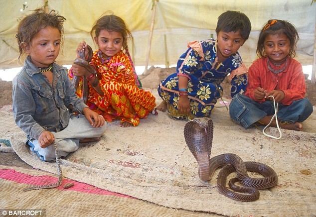 Shetpal Shetpal village India where guests are snakes strange places