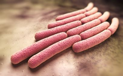 Shigella sonnei CDC Shigella Infections Becoming Resistant to Recommended