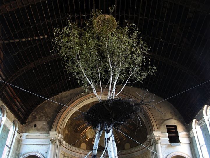 Shinji Turner-Yamamoto Hanging Tree Installation 3 pics video My Modern Met