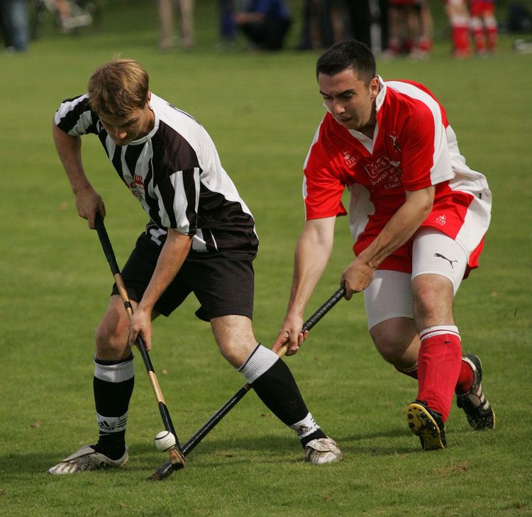 Shinty in Russia