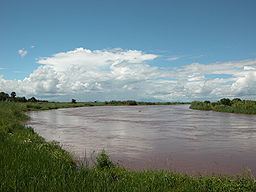 Shire River httpsuploadwikimediaorgwikipediacommonsthu