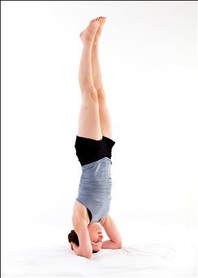 Shirshasana Yoga Postures with Sarah Swindlehurst The Yogic Prescription