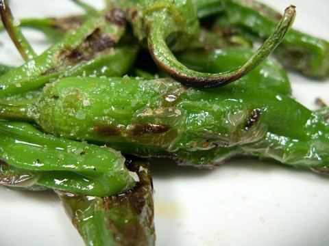 Shishito Shishito Peppers Uses Nutrition and Pictures