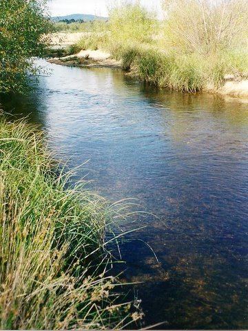 Shoalhaven River httpsuploadwikimediaorgwikipediacommons33