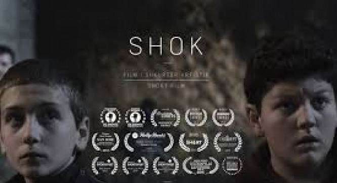 Shok (film) The film 39Shok39 in a few days will be shown in New York Kosovo