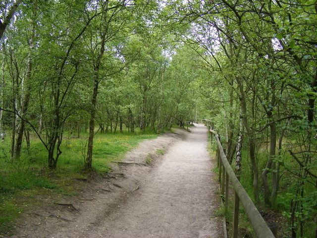 Shorne Wood Country Park