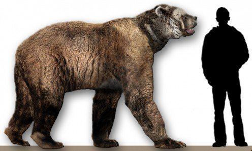 Short-faced bear Giant ShortFaced Bear Sightings Is Arctodus Simus Still Alive