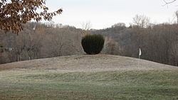 Short Woods Park Mound httpsuploadwikimediaorgwikipediacommonsthu