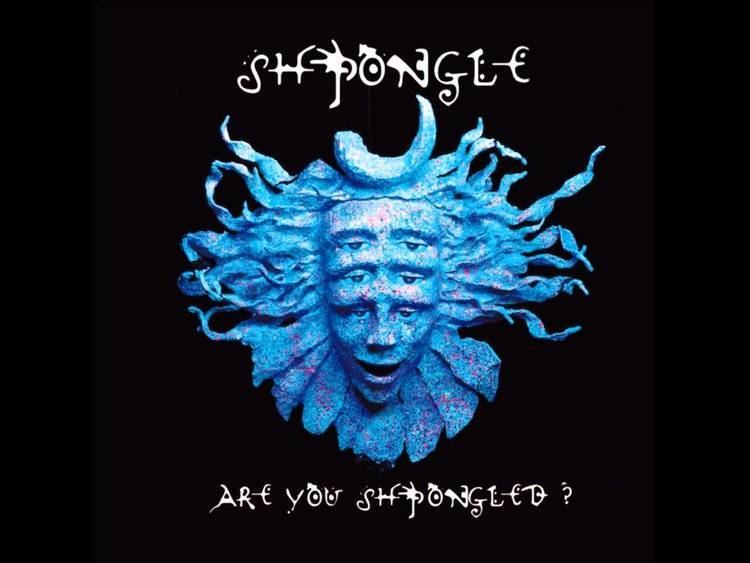 Shpongle Shpongle Are You Shpongled Full album YouTube