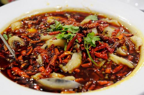 Shuizhu Chengdu Sichuan Restaurant at Outram Road Gastronomic Ruminations