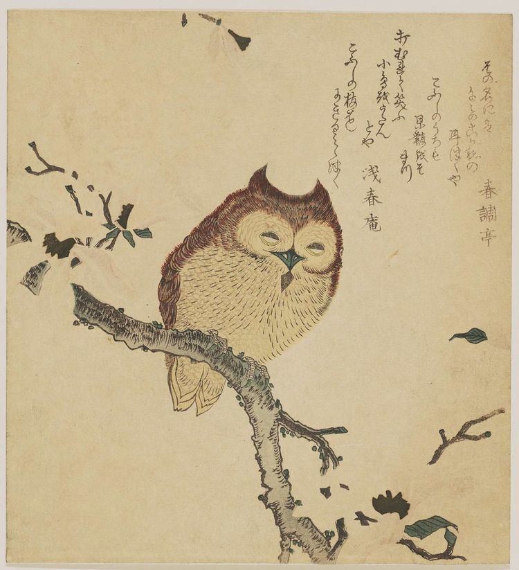 Shunman Kubo Shunman Horned Owl on Flowering Branch Museum of Fine Arts