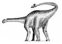 Shunosaurus httpsuploadwikimediaorgwikipediacommonsthu