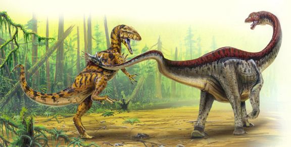 Shunosaurus Shunosaurus Sauropod Vertebra Picture of the Week
