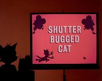 Shutter Bugged Cat movie poster