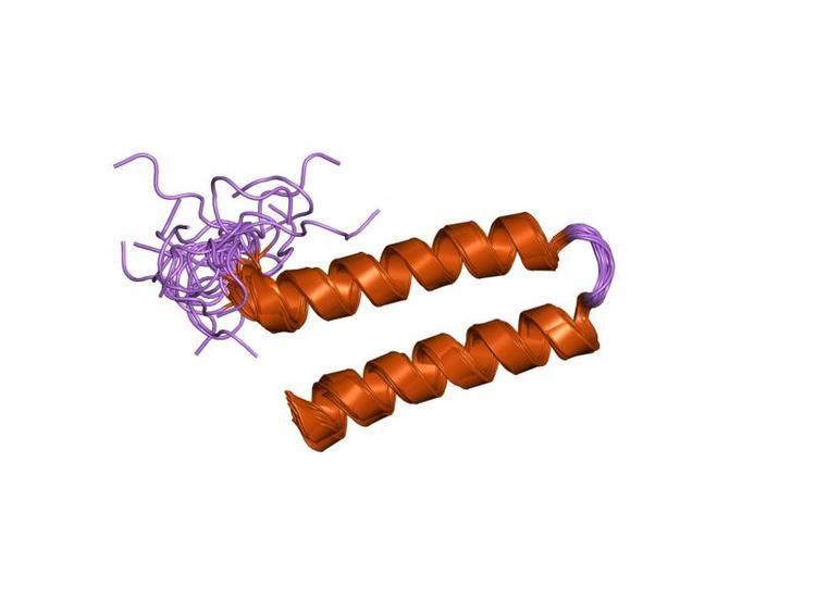 Siah interacting protein N-terminal domain