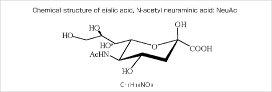 Sialic acid What is sialic acid World39s leading sialic acid business The
