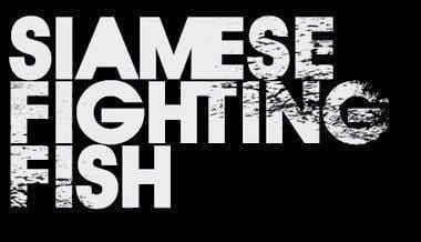 Siamese Fighting Fish (band) wwwspiritofmetalcomles20goupesSSiamese20F