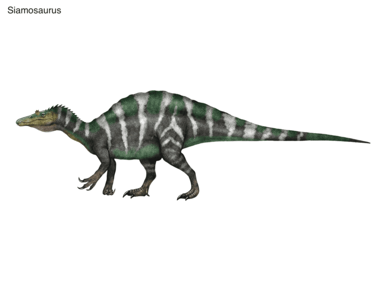 Siamosaurus Siamosaurus by cisiopurple on DeviantArt