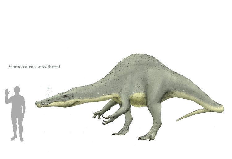 Siamosaurus Siamosaurus by Hyrotrioskjan on DeviantArt