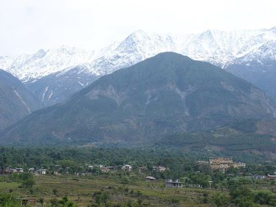Sidhbari Bob McKerrow Wayfarer My favourite village in the Himalaya Sidhbari