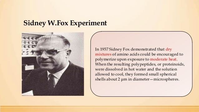 Sidney W. Fox Primey cell