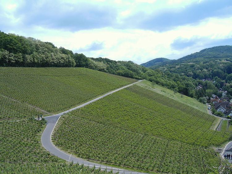 Siebengebirge (Wine District)