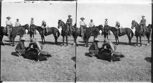 Sierra Bonita Ranch Cowboys Settling a Disoute as to Ownership Sierra Bonita Ranch