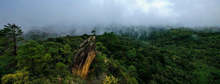 Sierra de las Minas Friends of FDN SIERRA DE LAS MINAS BIOSPHERE RESERVE