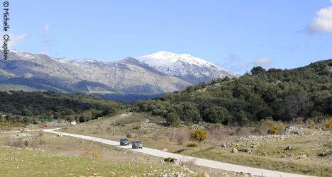 Sierra de las Nieves Natural Park Access to Sierra de las Nieves Flora amp Fauna Andaluciacom