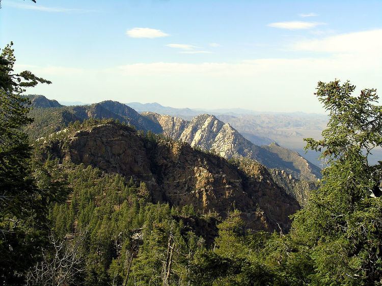 Sierra de San Pedro Mártir National Park