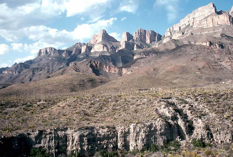 Sierra del Carmen Wax Camps