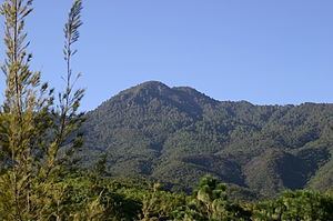 Sierra Madre de Oaxaca pine-oak forests httpsuploadwikimediaorgwikipediacommonsthu