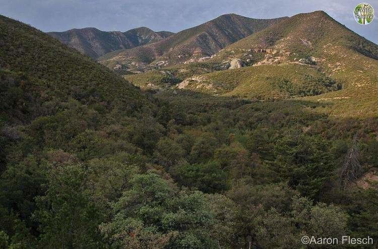 Sierra San Luis wildsonoracomsitesdefaultfilesstyleslargepu