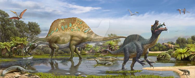Sigilmassasaurus Spinosaurus and Sigilmassasaurus by atrox1 on DeviantArt