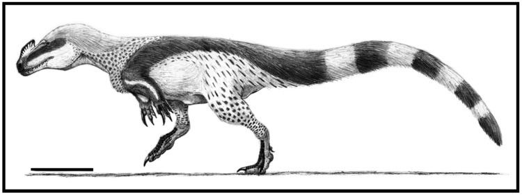 Sigilmassasaurus frican megalosaur Sigilmassasaurus brevicollisTroodon88deviantart