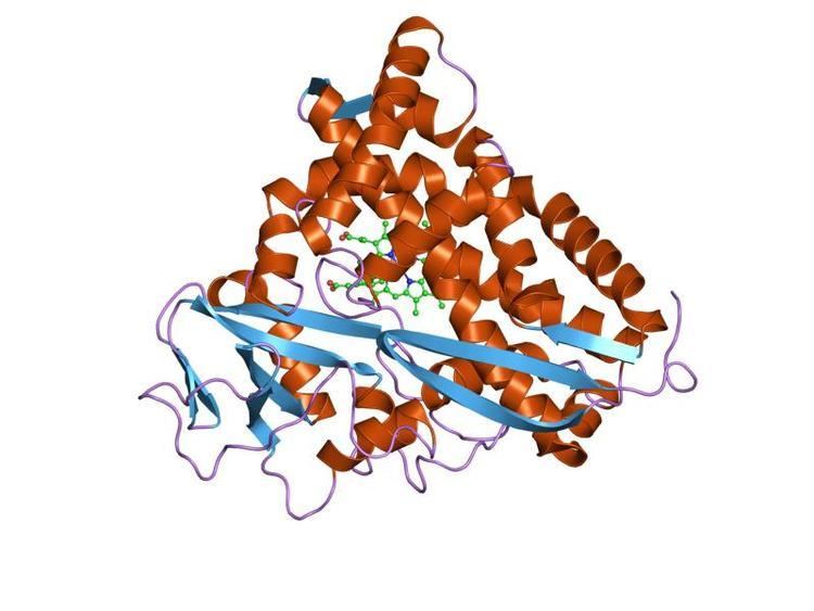 Sigma-2 receptor