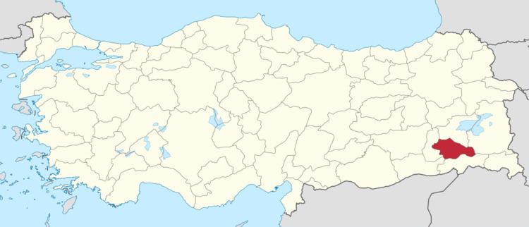 Siirt (electoral district)