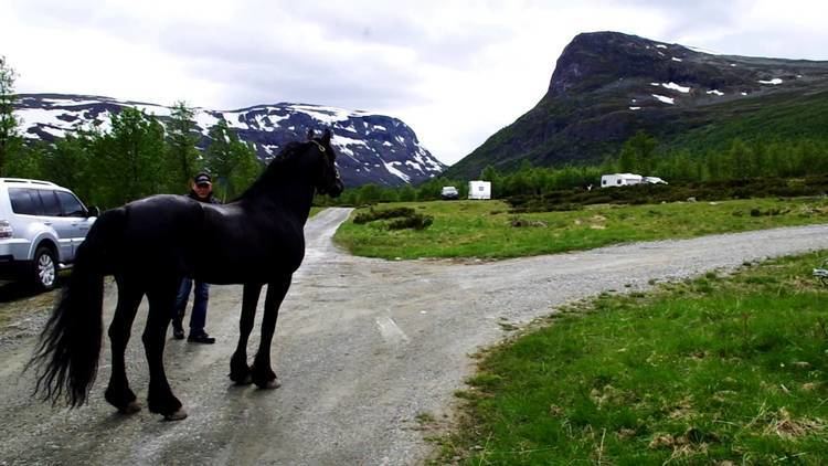 Sikkilsdalen Prins Juventus ankommer Sikkilsdalen YouTube