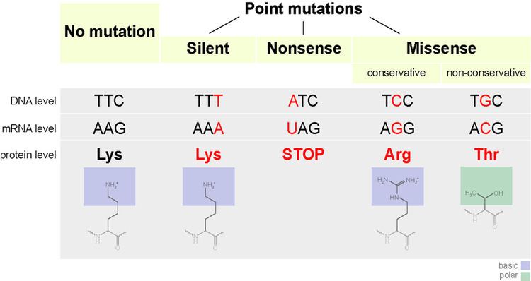 Silent mutation