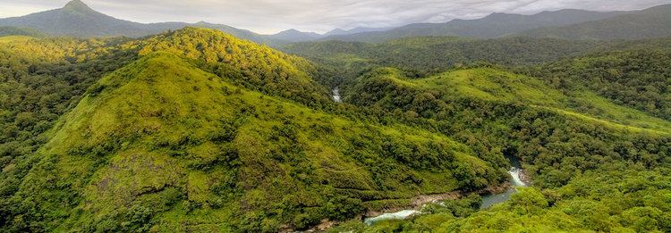 Silent Valley National Park silent valley national park Kerala Wildlife in india