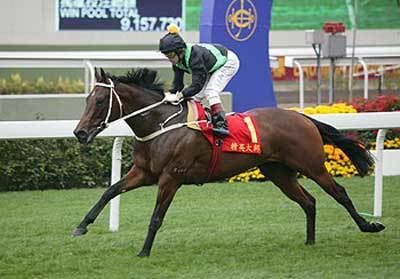 Silent Witness (horse) Racing News 2004 Horse Stud and Racing Thoroughbreds