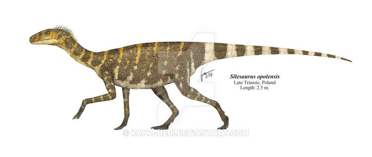 Silesaurus silesaurus DeviantArt