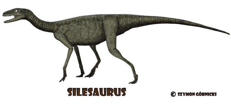 Silesaurus silesaurus DeviantArt