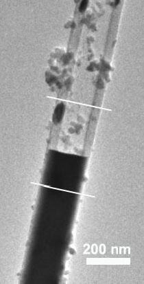 Silicon nanotube