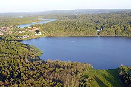 Silkeborg Forests httpsuploadwikimediaorgwikipediacommonsthu