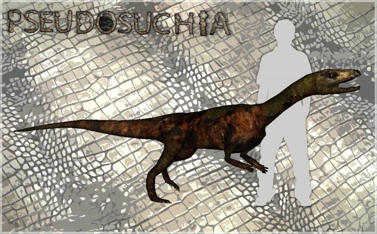 Sillosuchus Pseudosuchia Sillosuchus longicervix by LazardiK on DeviantArt