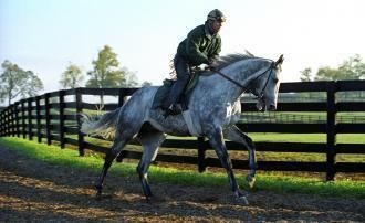 Silver Charm Silver Charm returns from Japan to go to Old Friends Daily Racing Form